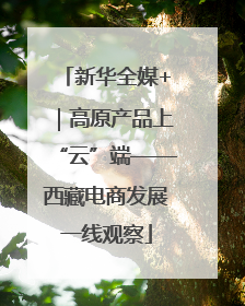 新华全媒+｜高原产品上“云”端——西藏电商发展一线观察