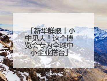 新华鲜报丨小中见大！这个博览会专为全球中小企业搭台