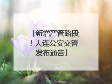 新增严管路段！大连公安交警发布通告