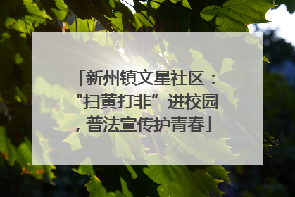 新州镇文星社区：“扫黄打非”进校园，普法宣传护青春