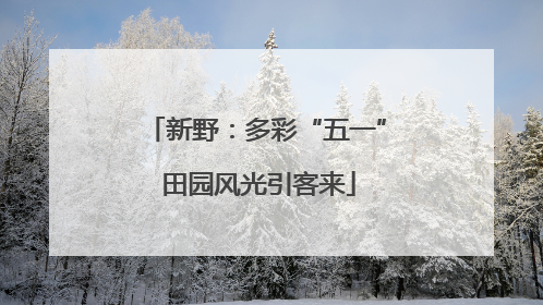 新野：多彩“五一” 田园风光引客来