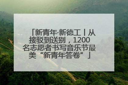 新青年·新德工丨从接驳到送别，1200名志愿者书写音乐节最美“新青年答卷”