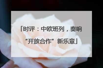 时评：中欧班列，奏响“开放合作”新乐章