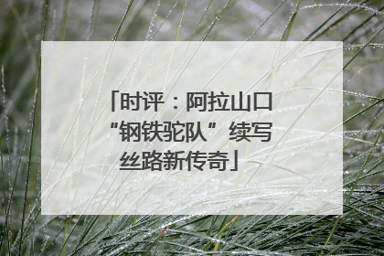 时评：阿拉山口“钢铁驼队”续写丝路新传奇