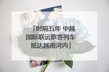 时隔五年 中越国际联运旅客列车抵达越南河内
