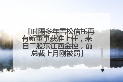 时隔多年雪松信托再有新董事获准上任，来自二股东江西金控，前总裁上月刚被罚