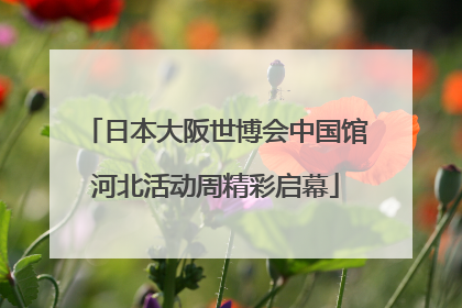 日本大阪世博会中国馆河北活动周精彩启幕