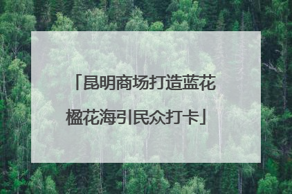 昆明商场打造蓝花楹花海引民众打卡