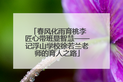春风化雨育桃李 匠心带班显智慧——记浮山学校徐若兰老师的育人之路