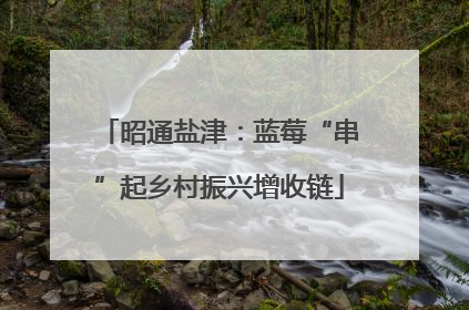 昭通盐津：蓝莓“串”起乡村振兴增收链