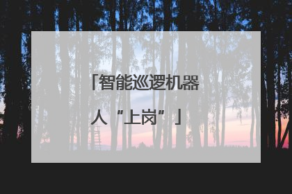智能巡逻机器人“上岗”