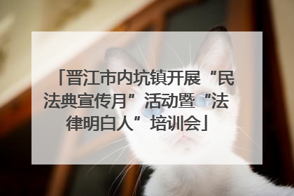 晋江市内坑镇开展“民法典宣传月”活动暨“法律明白人”培训会