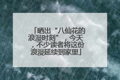 晒出“八仙花的浪漫时刻”，今天，不少读者将这份浪漫延续到家里