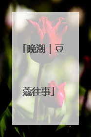 晚潮｜豆蔻往事