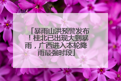 暴雨山洪预警发布！桂北已出现大到暴雨，广西进入本轮降雨最强时段