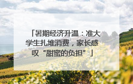 暑期经济升温：准大学生扎堆消费，家长感叹“甜蜜的负担”