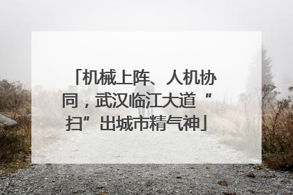 机械上阵、人机协同，武汉临江大道“扫”出城市精气神