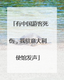 有中国游客死伤，我驻意大利使馆发声