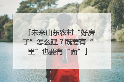 未来山东农村“好房子”怎么建？既要有“里”也要有“面”