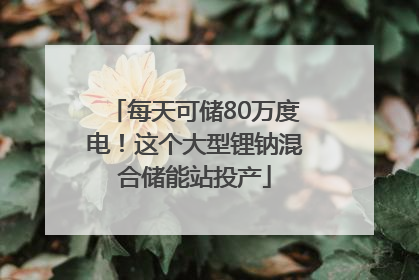 每天可储80万度电！这个大型锂钠混合储能站投产
