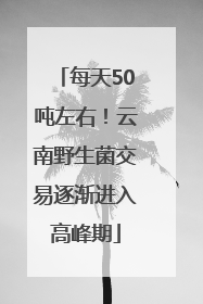 每天50吨左右！云南野生菌交易逐渐进入高峰期