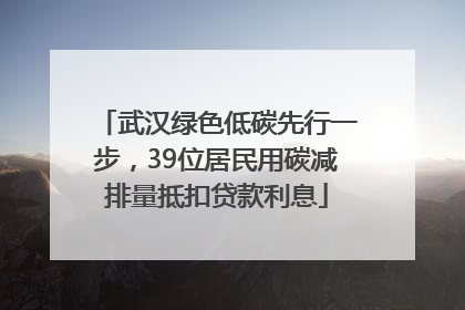 武汉绿色低碳先行一步，39位居民用碳减排量抵扣贷款利息