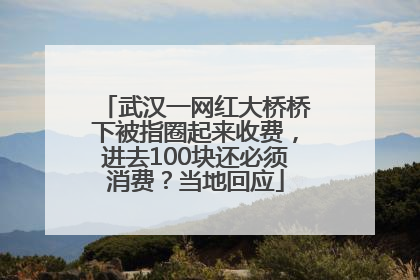 武汉一网红大桥桥下被指圈起来收费，进去100块还必须消费？当地回应
