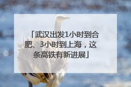 武汉出发1小时到合肥、3小时到上海，这条高铁有新进展