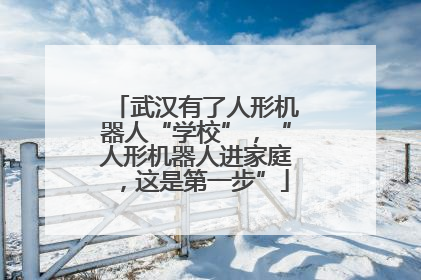 武汉有了人形机器人“学校”，“人形机器人进家庭，这是第一步”