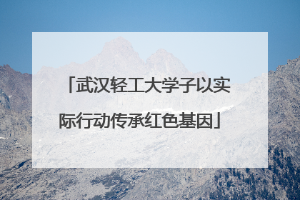 武汉轻工大学子以实际行动传承红色基因