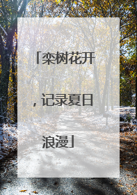 栾树花开，记录夏日浪漫