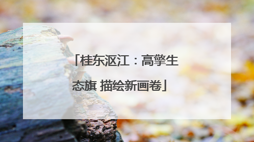 桂东沤江：高擎生态旗 描绘新画卷