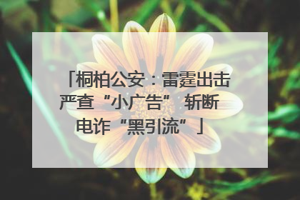桐柏公安：雷霆出击严查“小广告” 斩断电诈“黑引流”