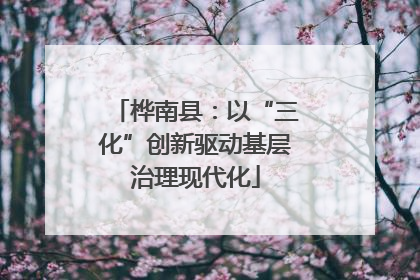 桦南县：以“三化”创新驱动基层治理现代化