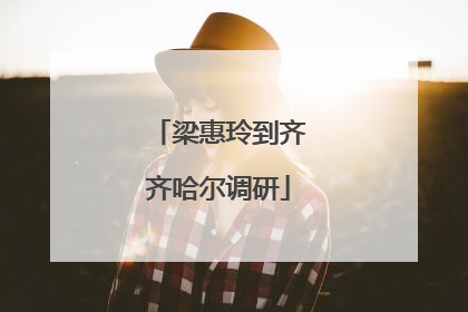 梁惠玲到齐齐哈尔调研