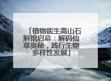 植物医生高山石斛馆启幕：解码仙草奥秘，践行生物多样性发展
