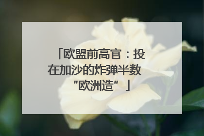 欧盟前高官：投在加沙的炸弹半数“欧洲造”