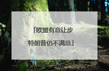 欧盟有意让步 特朗普仍不满意
