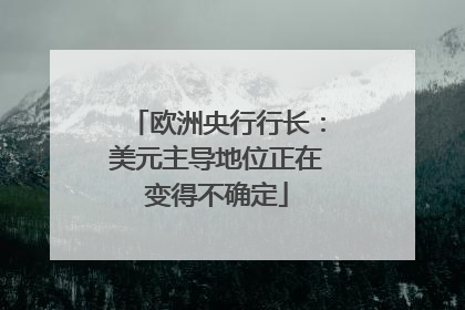 欧洲央行行长：美元主导地位正在变得不确定