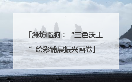 潍坊临朐：“三色沃土”绘彩铺展振兴画卷