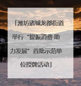 潍坊诸城龙都街道举行“提振消费·助力发展”首批示范单位授牌活动