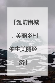 潍坊诸城：美丽乡村催生美丽经济