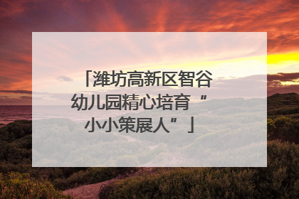 潍坊高新区智谷幼儿园精心培育“小小策展人”