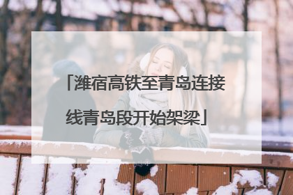 潍宿高铁至青岛连接线青岛段开始架梁