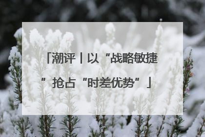 潮评丨以“战略敏捷”抢占“时差优势”