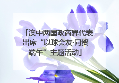 澳中两国政商界代表出席“以球会友·同贺端午”主题活动