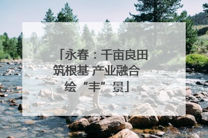 永春：千亩良田筑根基 产业融合绘“丰”景