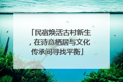 民宿焕活古村新生，在诗意栖居与文化传承间寻找平衡