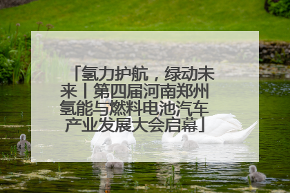 氢力护航，绿动未来丨第四届河南郑州氢能与燃料电池汽车产业发展大会启幕