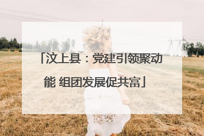 汶上县：党建引领聚动能 组团发展促共富